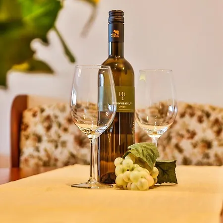 Gasthuis Hotel Pension Residence Ramsau am Dachstein