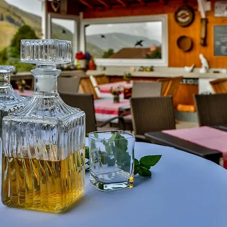 Pensionat Hotel Pension Residence Ramsau am Dachstein