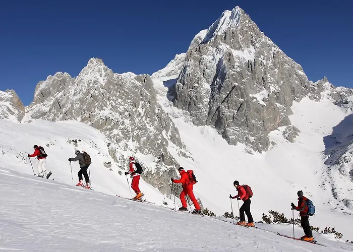בית הארחה Hotel Pension Residence