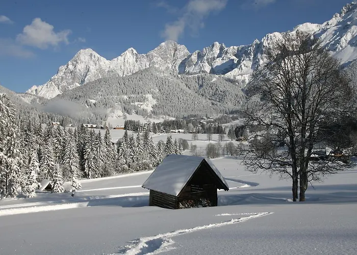 בית הארחה Hotel Pension Residence