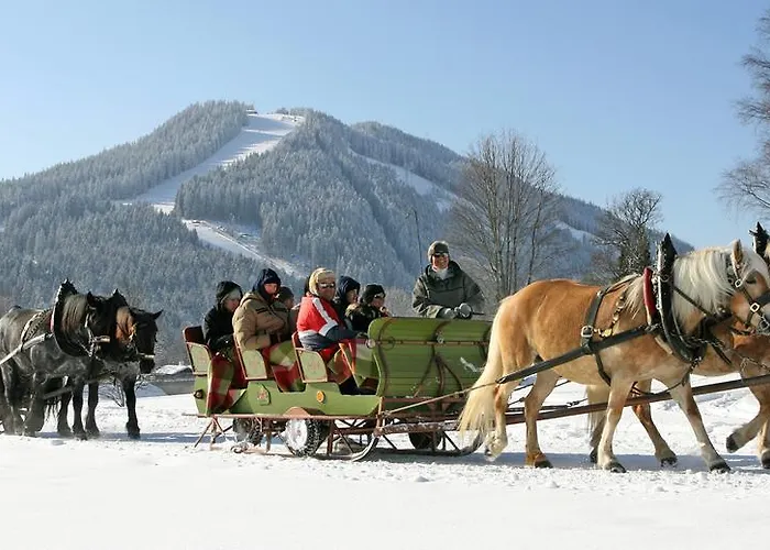 Hotel Pension Residence Guest house