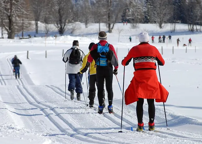 Hotel Pension Residence Guest house Ramsau am Dachstein